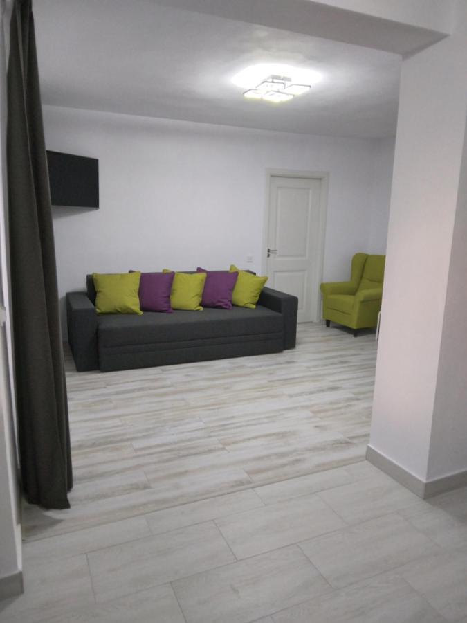 Luxury Apartament Curtea de Argeş 外观 照片