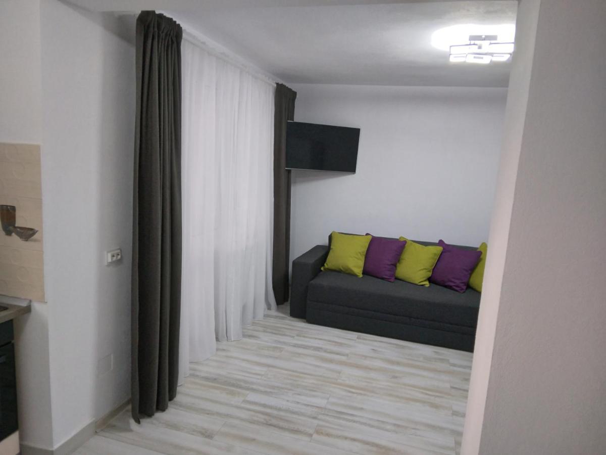 Luxury Apartament Curtea de Argeş 外观 照片
