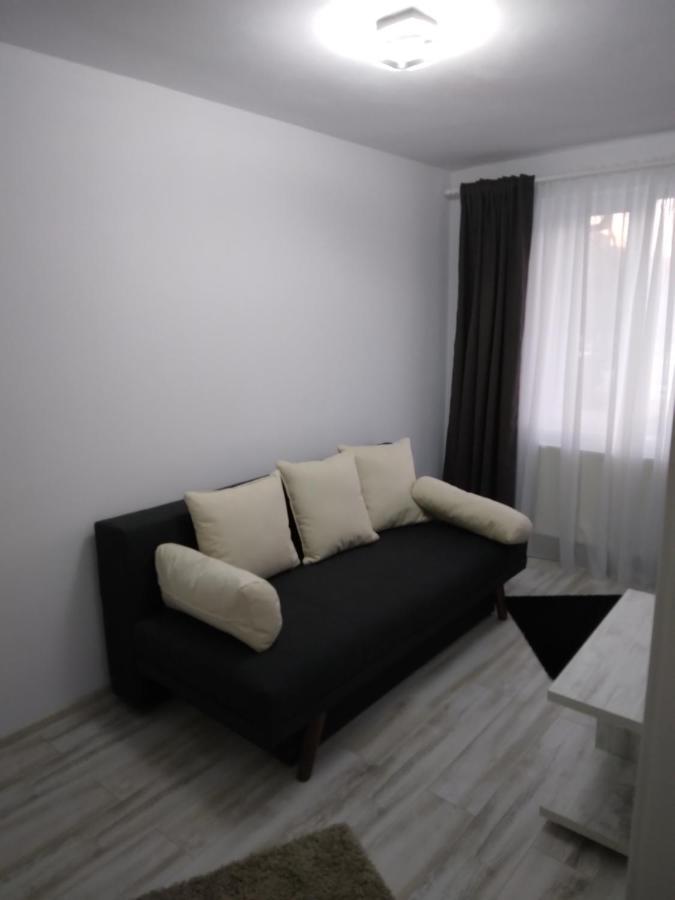 Luxury Apartament Curtea de Argeş 外观 照片