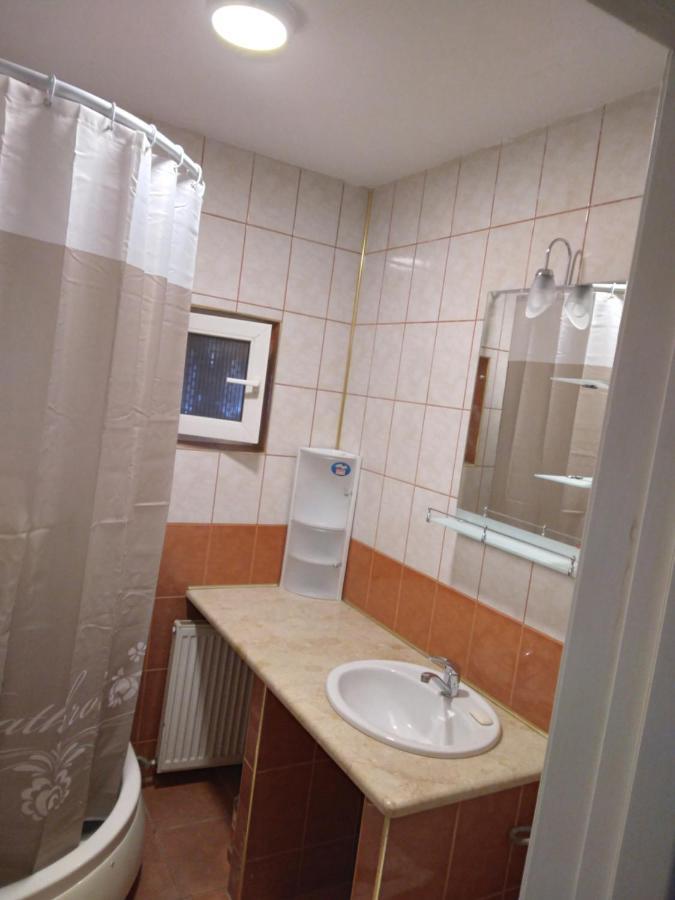 Luxury Apartament Curtea de Argeş 外观 照片