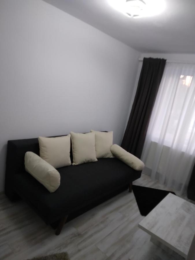 Luxury Apartament Curtea de Argeş 外观 照片