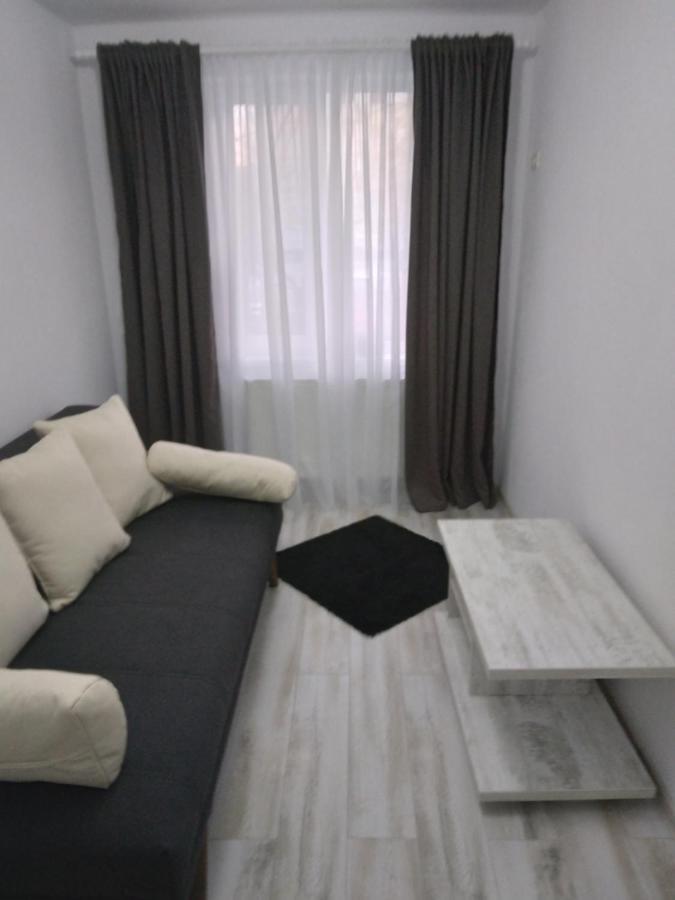 Luxury Apartament Curtea de Argeş 外观 照片