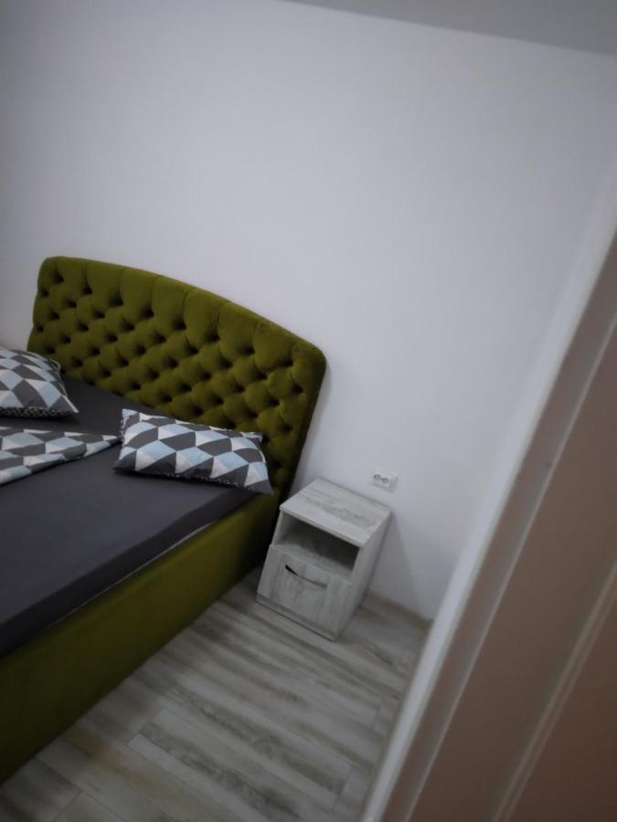 Luxury Apartament Curtea de Argeş 外观 照片