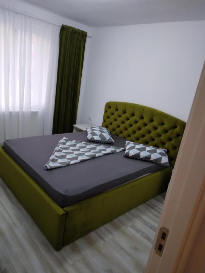 Luxury Apartament Curtea de Argeş 外观 照片