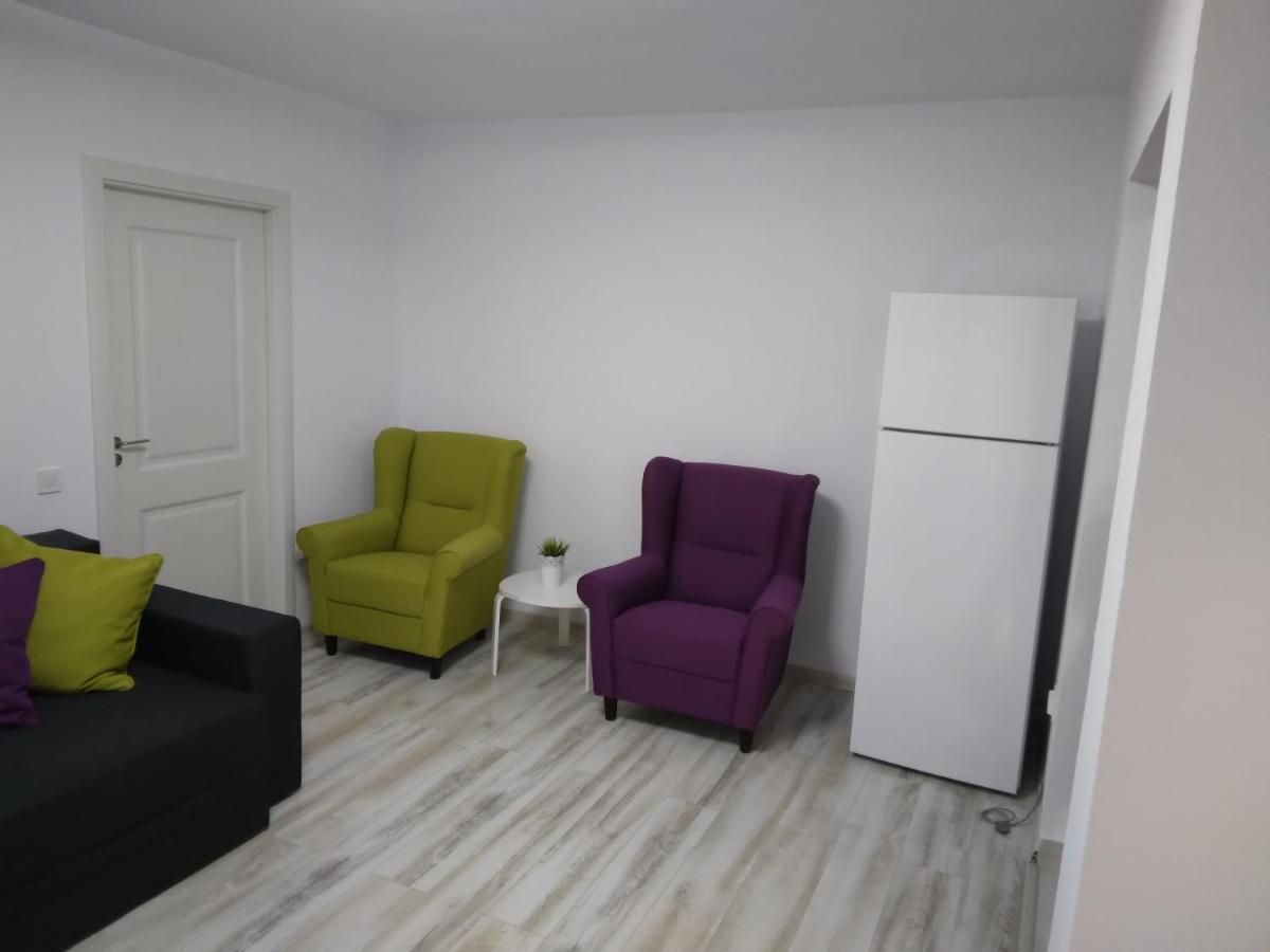 Luxury Apartament Curtea de Argeş 外观 照片