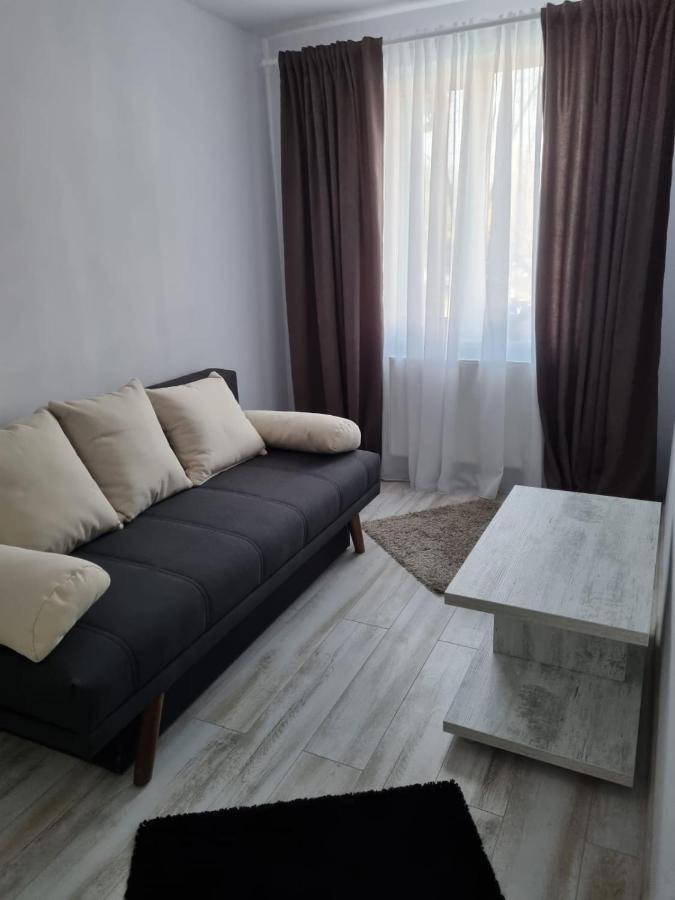 Luxury Apartament Curtea de Argeş 外观 照片