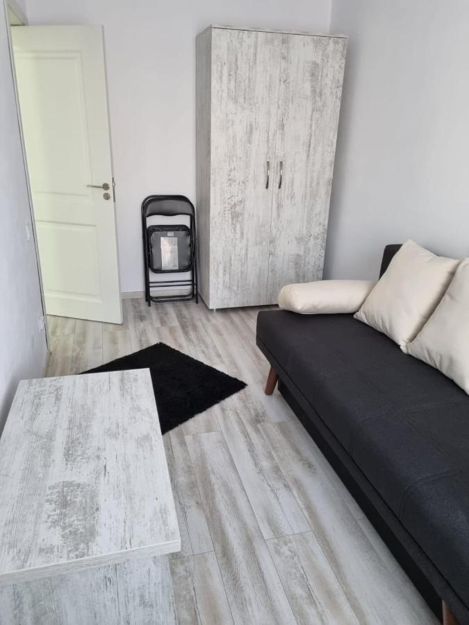Luxury Apartament Curtea de Argeş 外观 照片