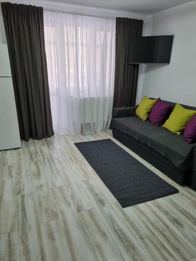 Luxury Apartament Curtea de Argeş 外观 照片