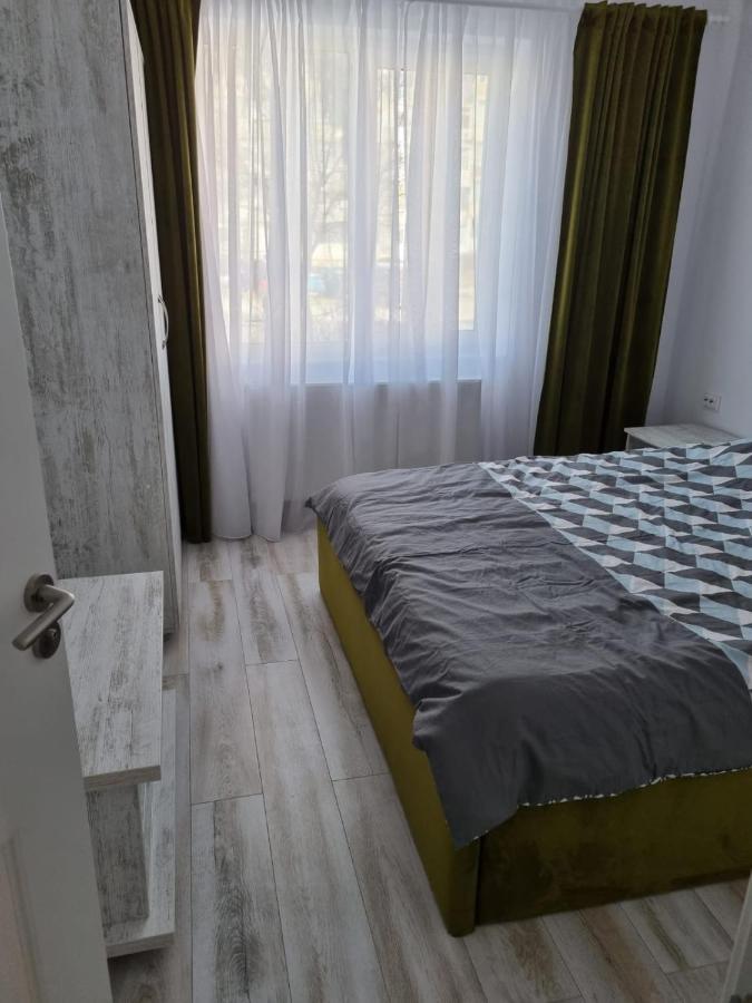 Luxury Apartament Curtea de Argeş 外观 照片
