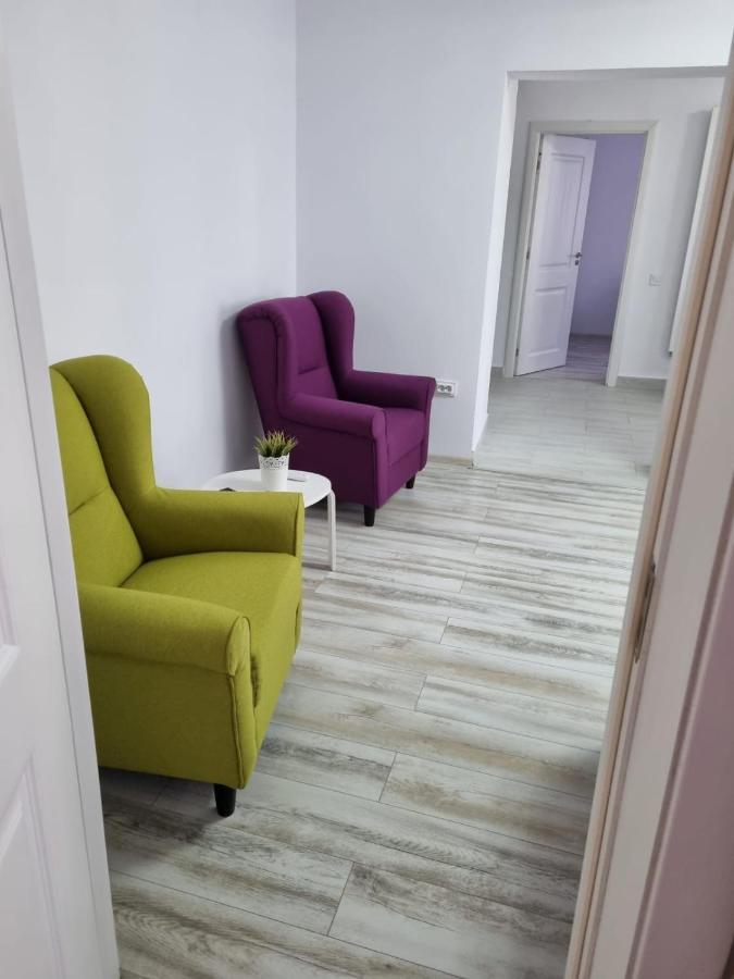 Luxury Apartament Curtea de Argeş 外观 照片